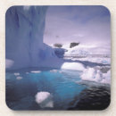Search for antarctic barware Ice field