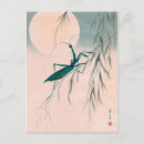 Search for mantis postcards Insect