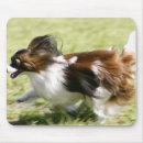 Search for blurred motion mouse mats Outdoors
