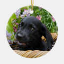 Search for black lab puppy christmas tree decorations Dog