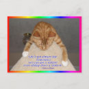 Search for rainbow horizontal postcards Orange