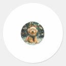 Search for cavapoo stickers Wolf