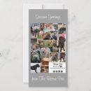 Search for animal rescue christmas cards Xmas