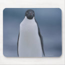 Search for wild one mouse mats Outdoors