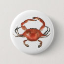 Search for crab badges Sealife