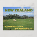 Search for comical sheep postcards Humour