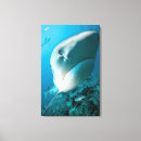 Search for fiji canvas prints Underwater