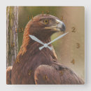 Search for eagle eyes art Bird of prey