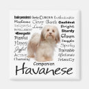 Search for havanese dog magnets Breed