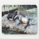 Search for a group mouse mats Wildlife