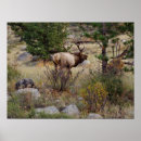 Search for bugles art Colorado
