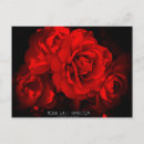 Search for lilly horizontal postcards Flower