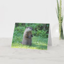 Search for hogs cards Ground hog