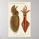 Search for kraken art Vintage