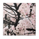 Search for japanese cherry blossom tiles Nature
