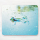 Search for amphibians electronics Summer