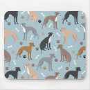 Search for cute whippet electronics Dog