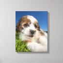 Search for puppy canvas prints Pets