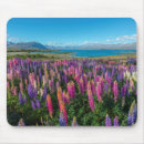 Search for valley electronics Meadow