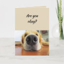 Search for funny nose cards Cute