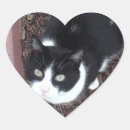 Search for green eyed stickers Cute