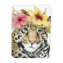 Search for leopard portrait magnets Safari