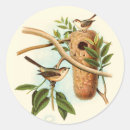 Search for birds nest stickers Nature