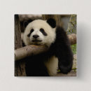 Search for moss badges Sichuan province