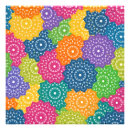 Search for colorful photo Flowers