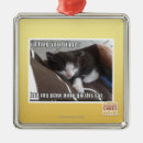 Search for hug christmas tree decorations I can has cheezburger