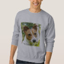 Search for jack russell hoodies Dogs