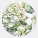 Search for white hydrangea stickers Botanical