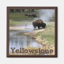 Search for habitat magnets Wildlife
