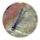 Search for the dragonfly knobs and pulls Dragonflies