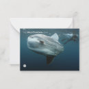 Search for nature note cards Animals