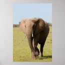 Search for game park posters Animal