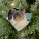 Search for bed christmas tree decorations Cat