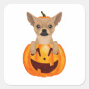 Search for thanksgiving dog stickers Fall