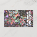 Search for autumn leaves business cards Fall