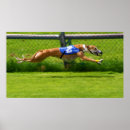 Search for greyhound racing posters Race