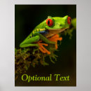 Search for rainforest posters Wild