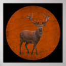 Search for vintage elk posters Animal