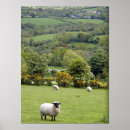Search for lush posters Countryside