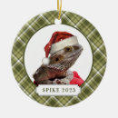 Search for santa dragon christmas tree decorations Reptile