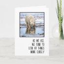 Search for polar bear birthday cards Wildlife