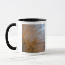 Search for sealife animal mugs Fragility