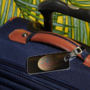Search for five objects Discovery