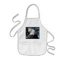Search for bald aprons Bird