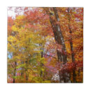 Search for orange tree tiles Landscape