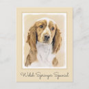 Search for springer postcards Puppy